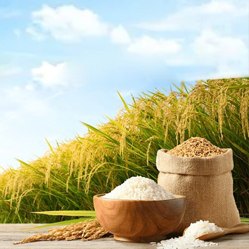 Agriculture Moisture Tester - Best Equipment Company Ambala