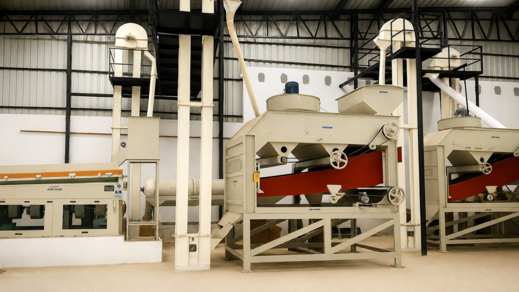 Industrial grain processing and seed cleaning machinery in a modern facility