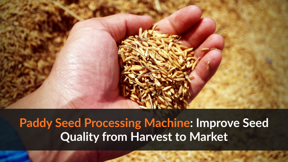 Paddy Seed Processing Machine: Improve Seed Quality from Harvest to Market