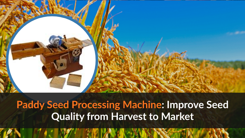 Paddy seed processing machine | rice seed cleaning and grading equipment